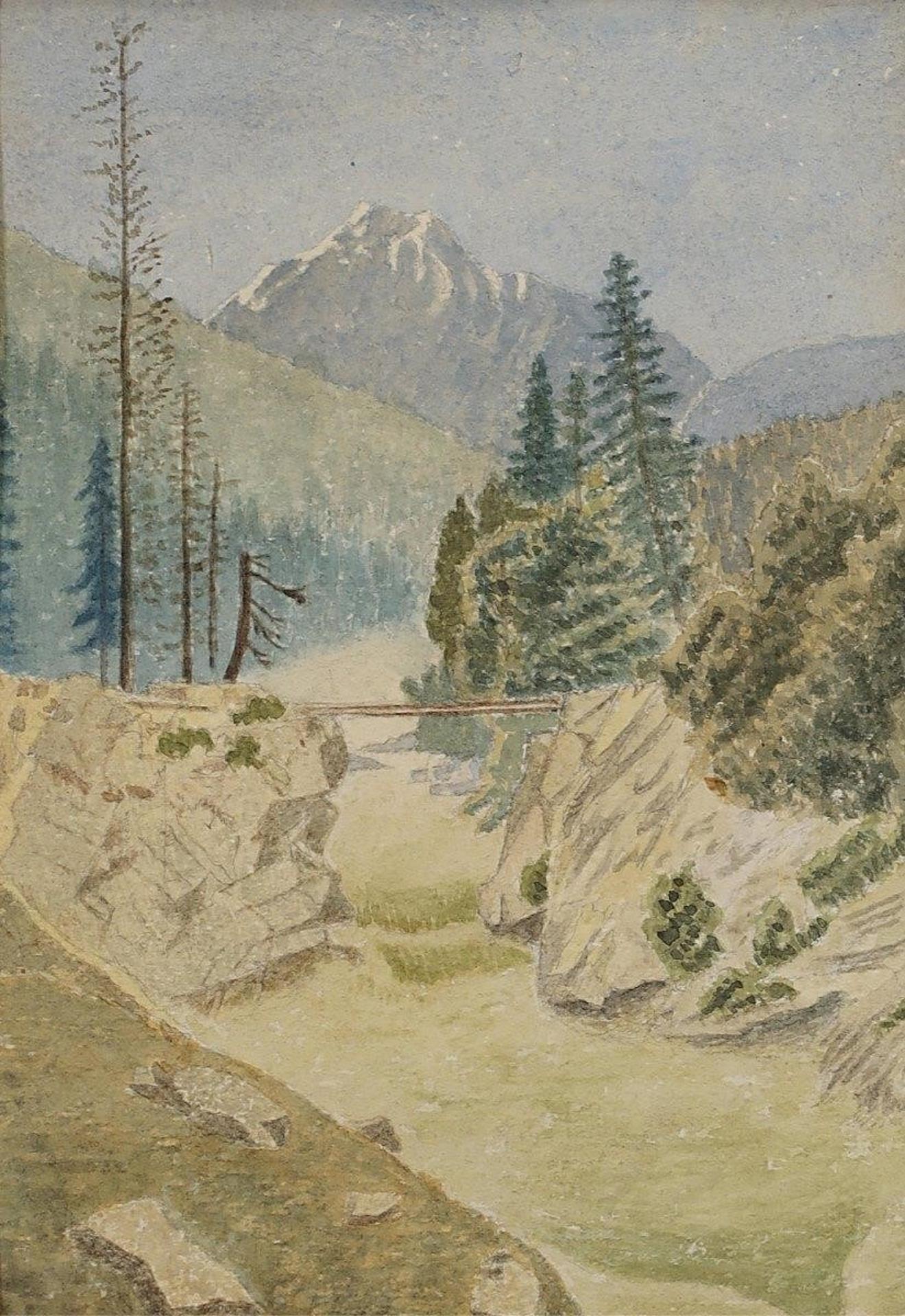 Emily Carr (1871-1945) - BEAVER CANON (sic); 1886