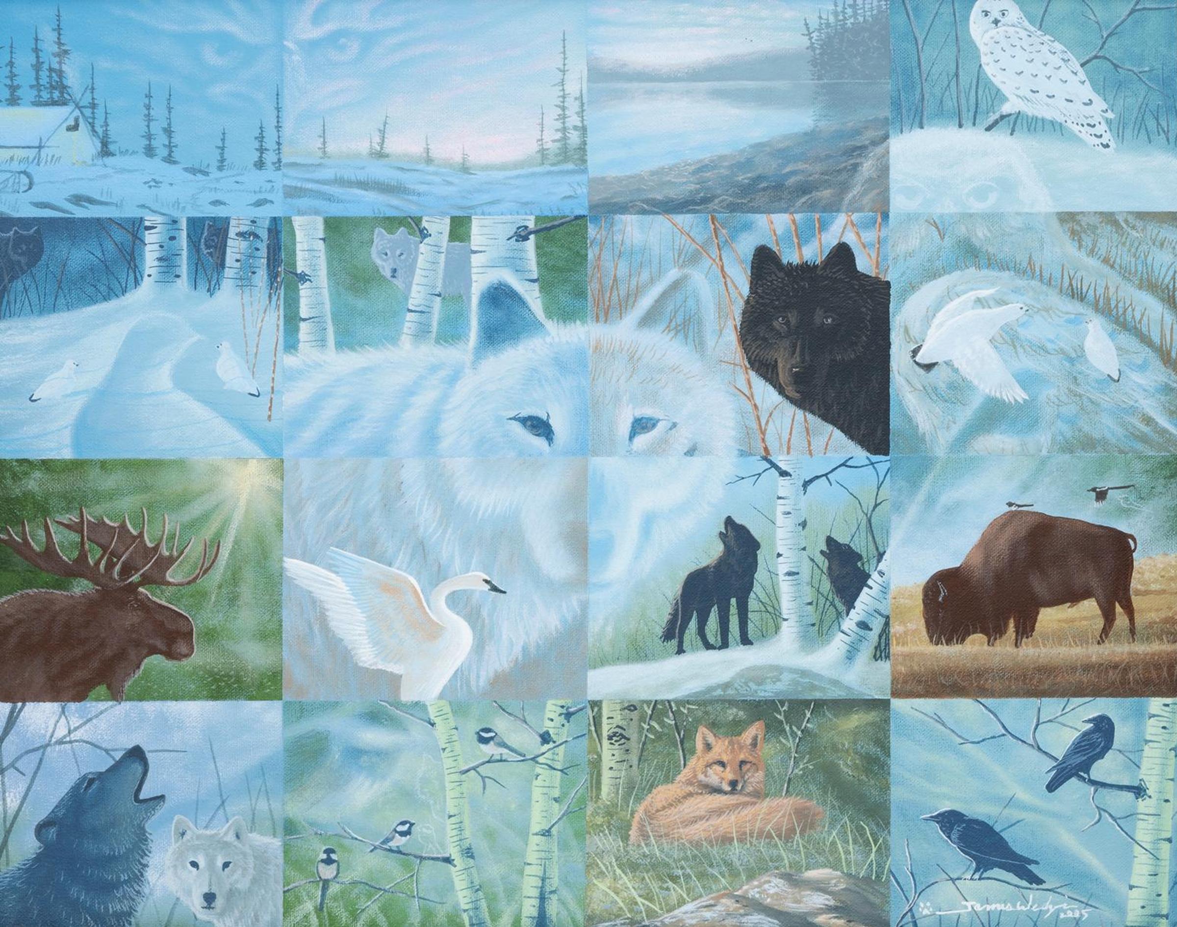 James Wedzin - Northern Wildlife Array