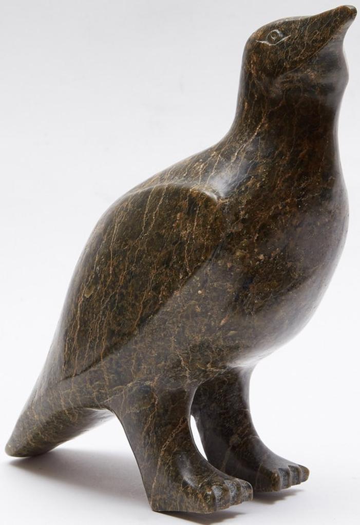 Etidlui Petaulassie (1944) - Cormorant