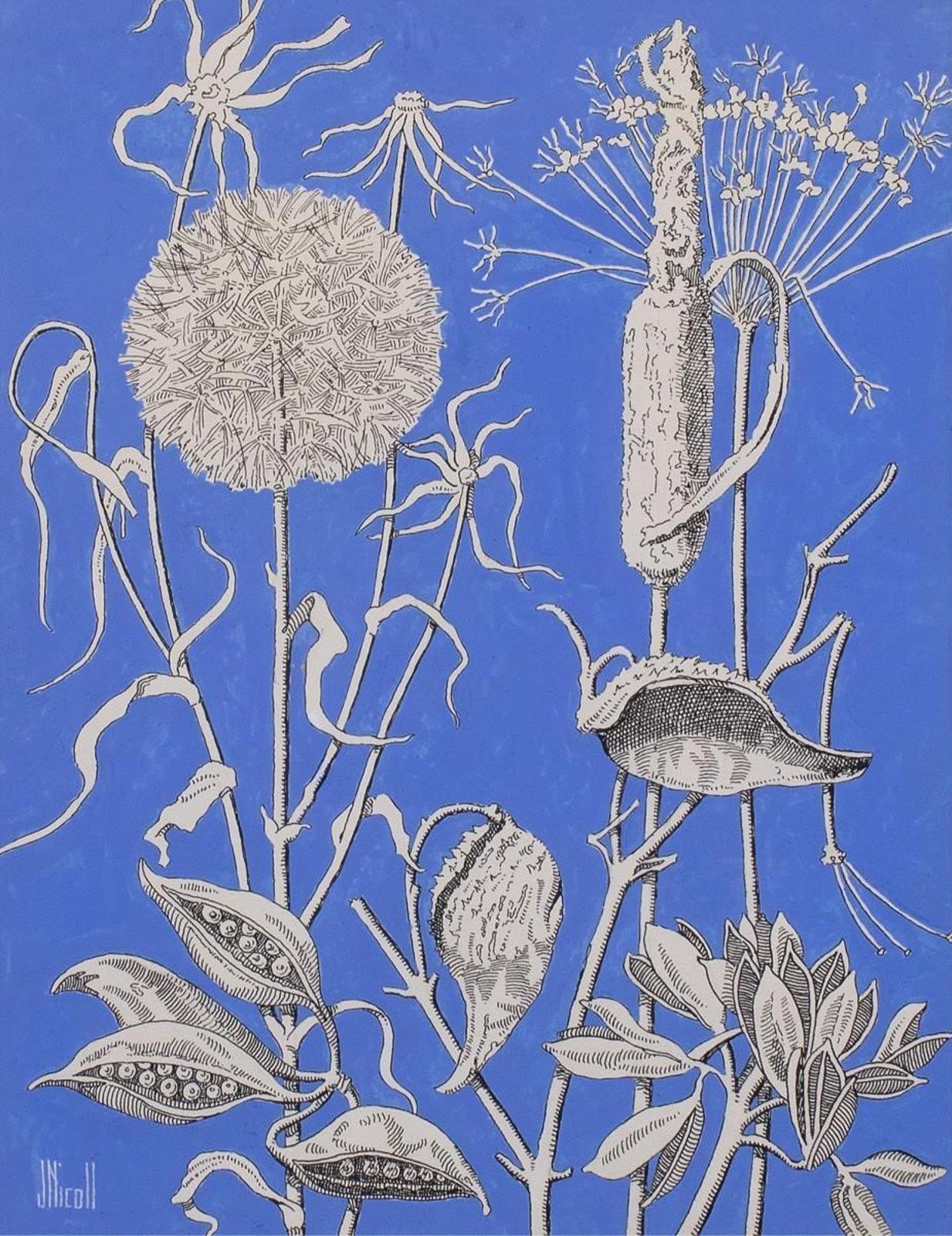 James (Jim) McLaren Nicoll (1892-1986) - Seed Pods