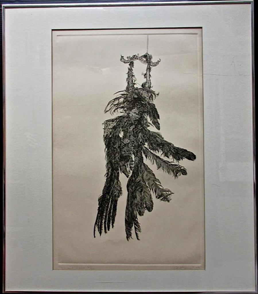 Paul Alexander Fournier (1939) - Dead Crow