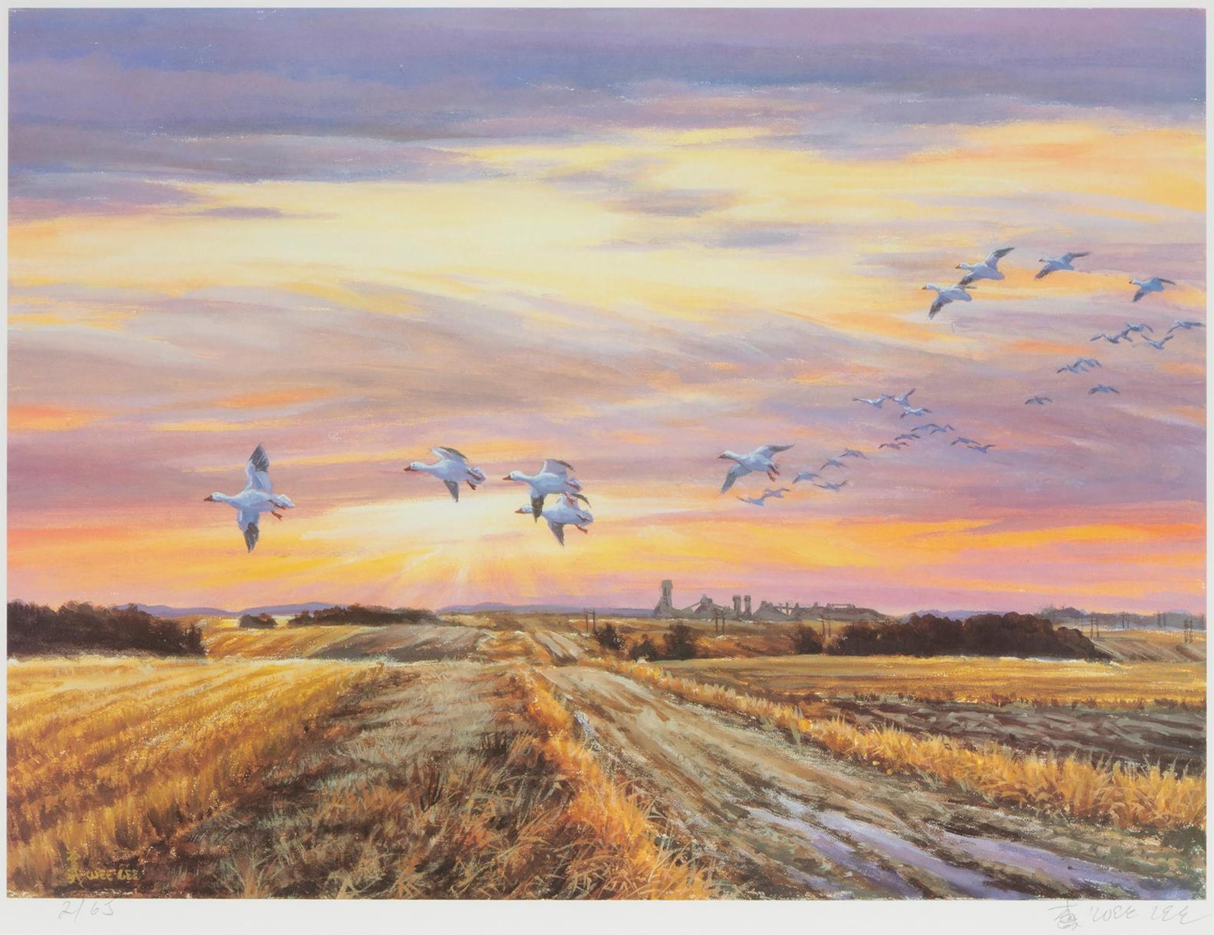 Wee Lee (1955) - Snow Geese