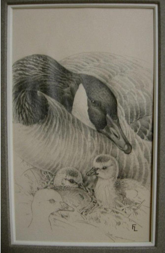 James Fenwick Lansdowne (1937-2008) - Canada Goose And Goslings