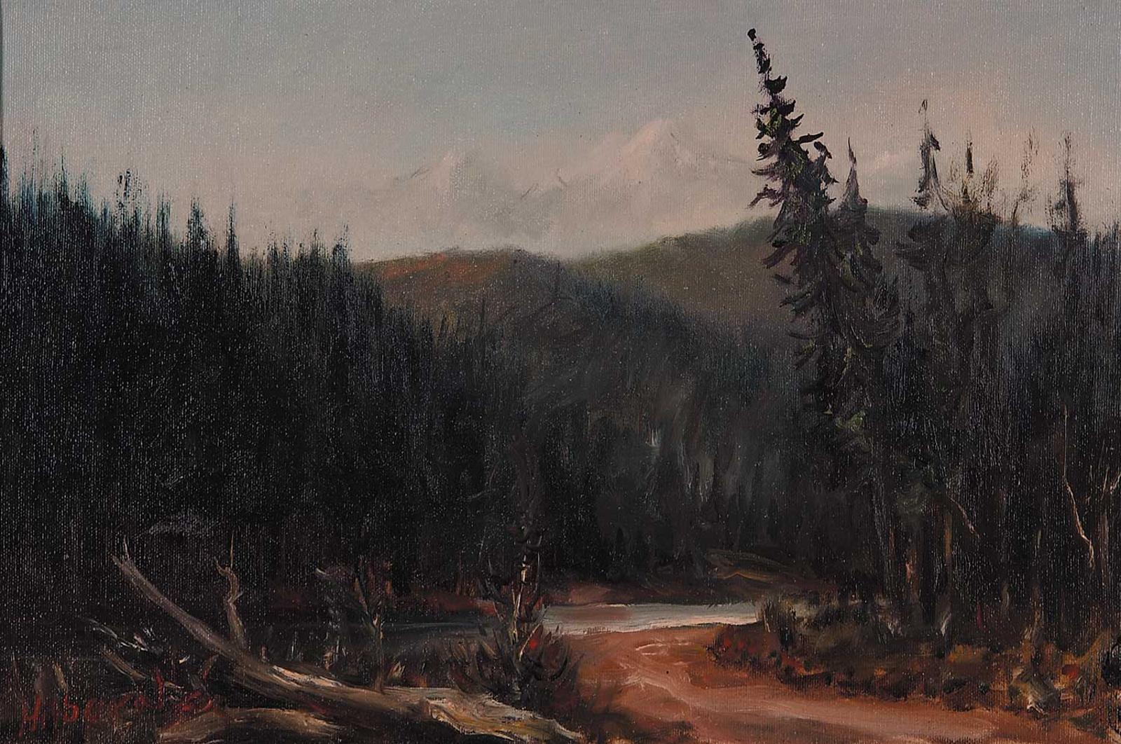 Tom Hilborn - Halfway River