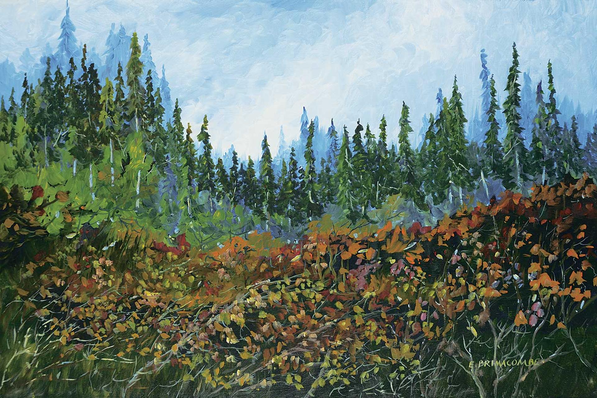 Errol A. Brimacombe (1947) - Dancing Forest
