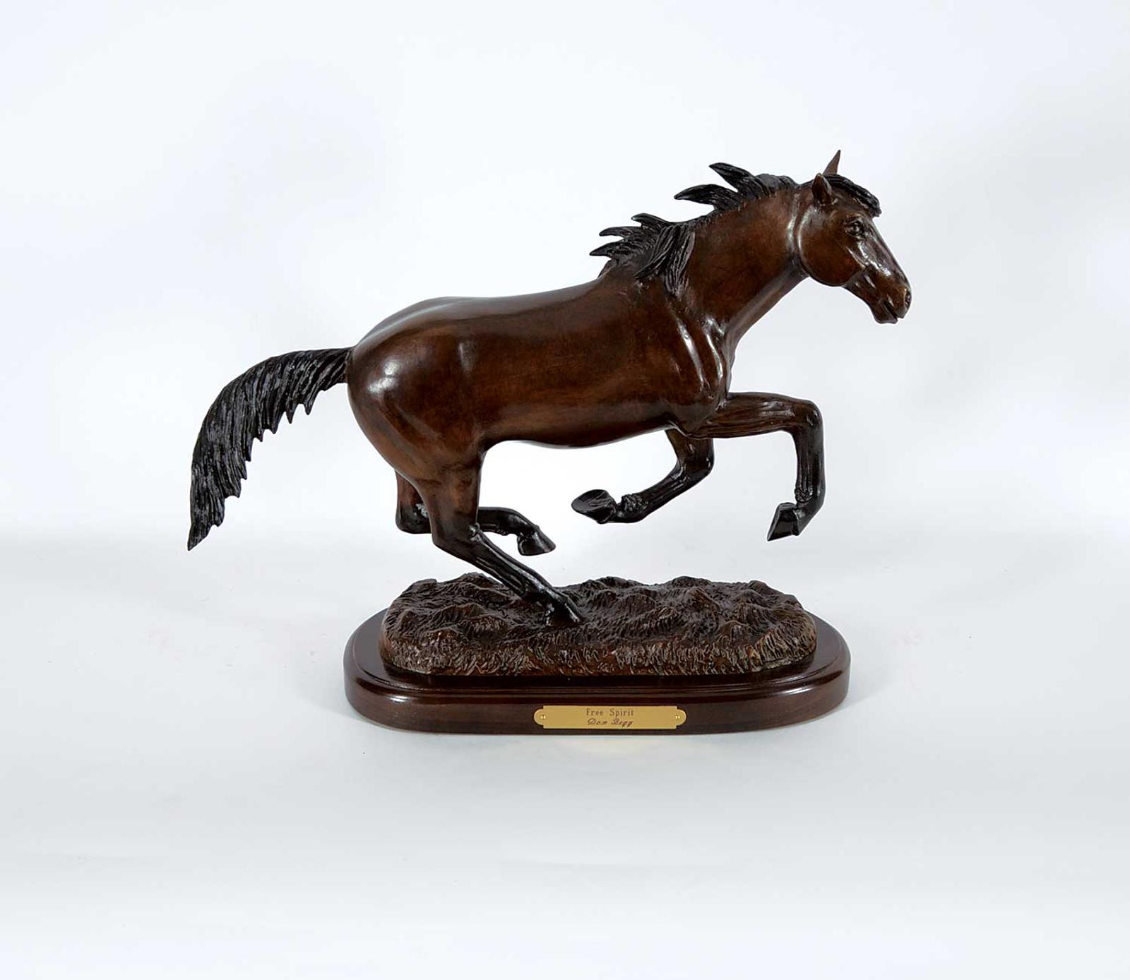 Donald John (Don) Begg (1945) - Free Spirit #29/100