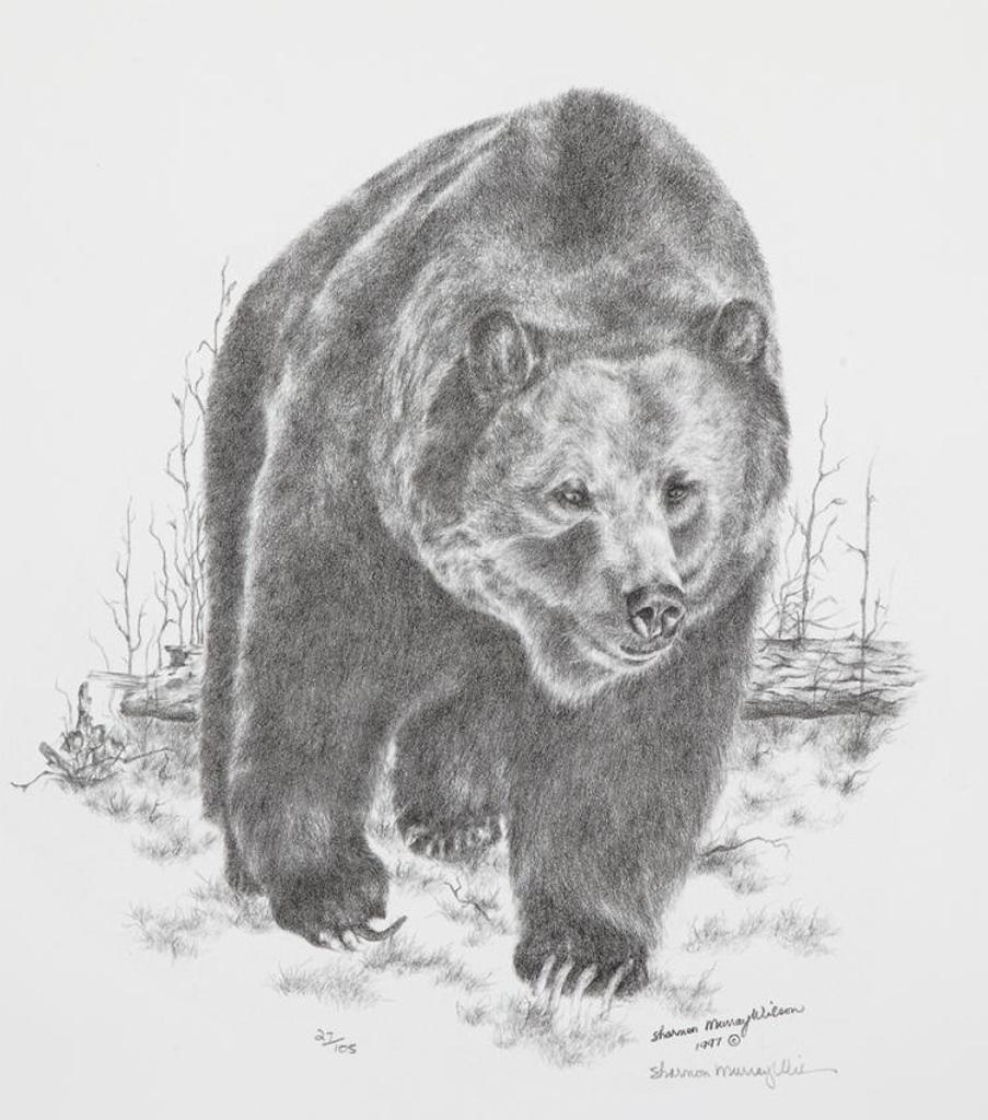 Sharmon Murray Wilson - Untitled - Bear