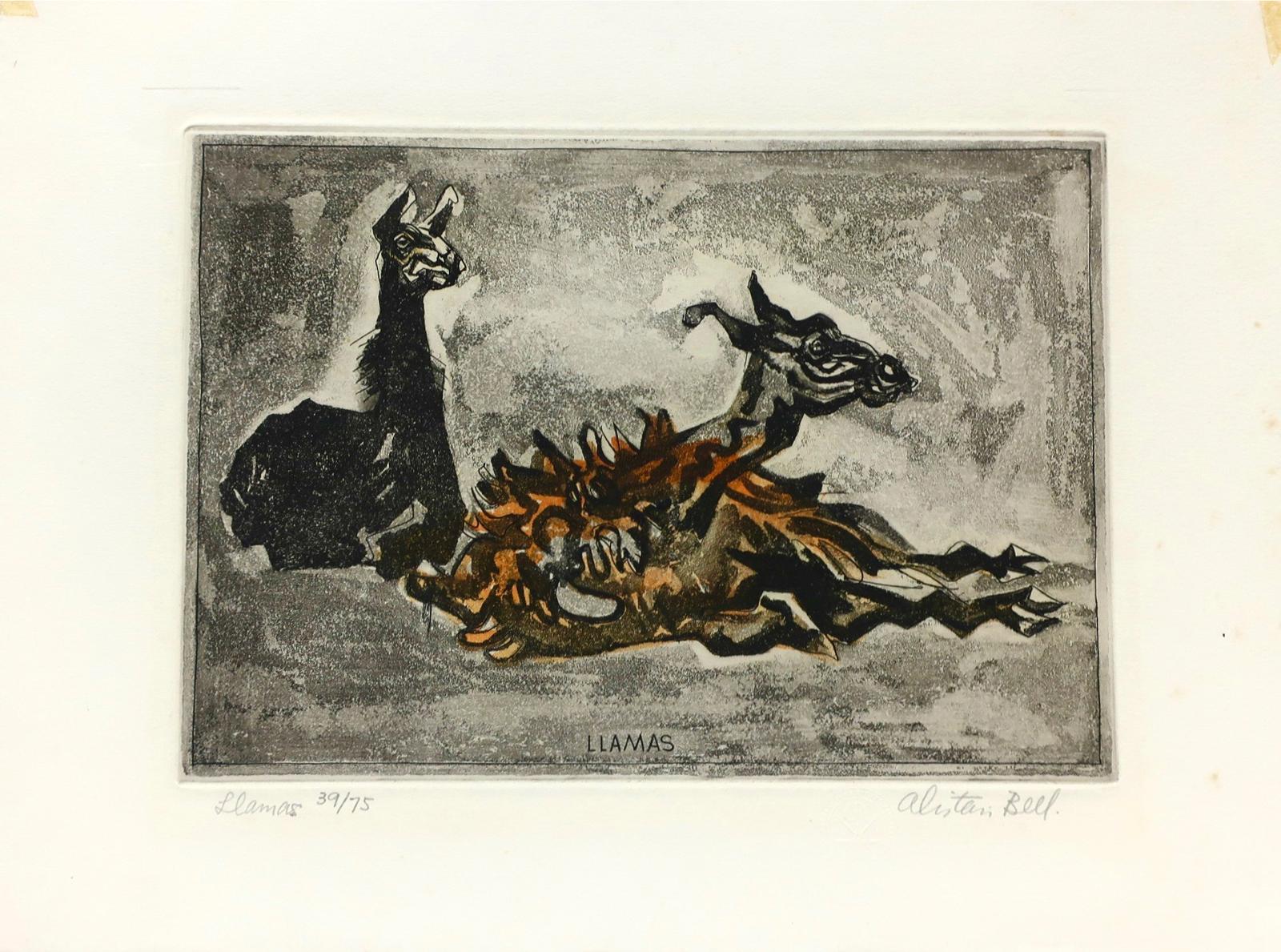 Alistair Macready Bell (1913-1997) - Llamas