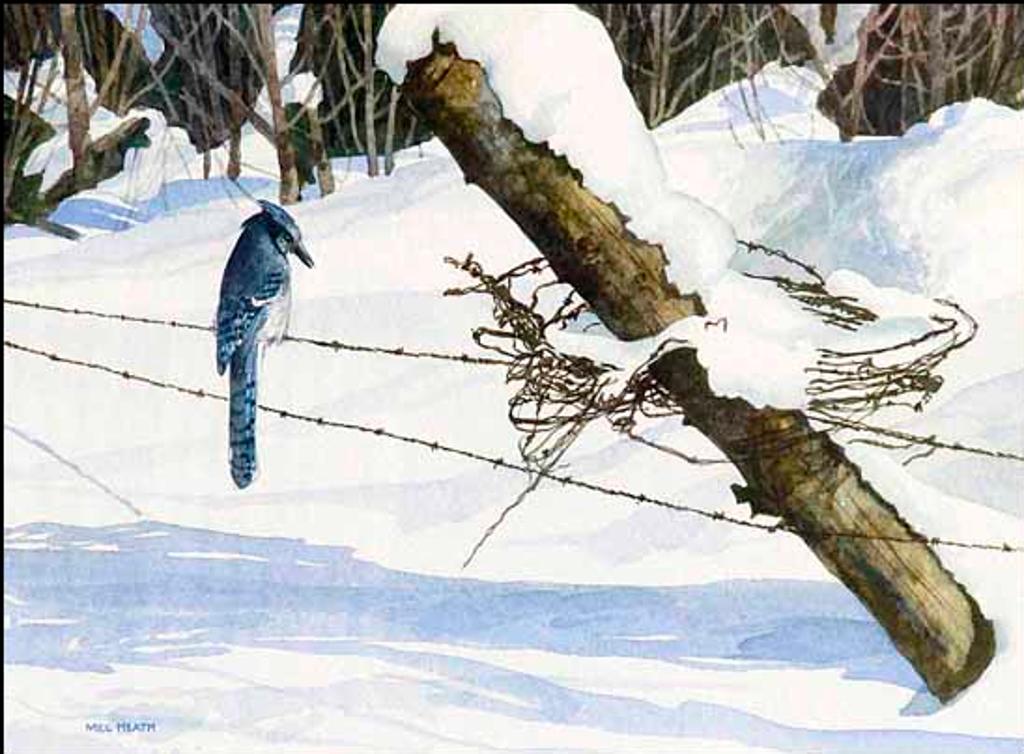 Melvin George Heath (1930) - Barbed Fence (02934/2013-309)