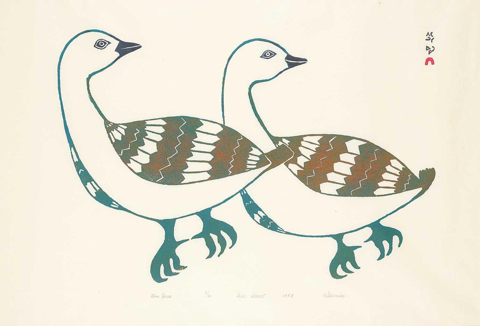 Saila - Blue Geese #5/50