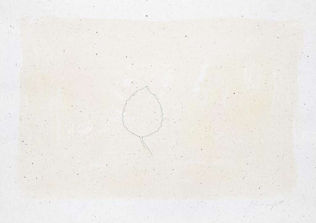 Alan Sonfist (1946) - Untitled - Untitled
