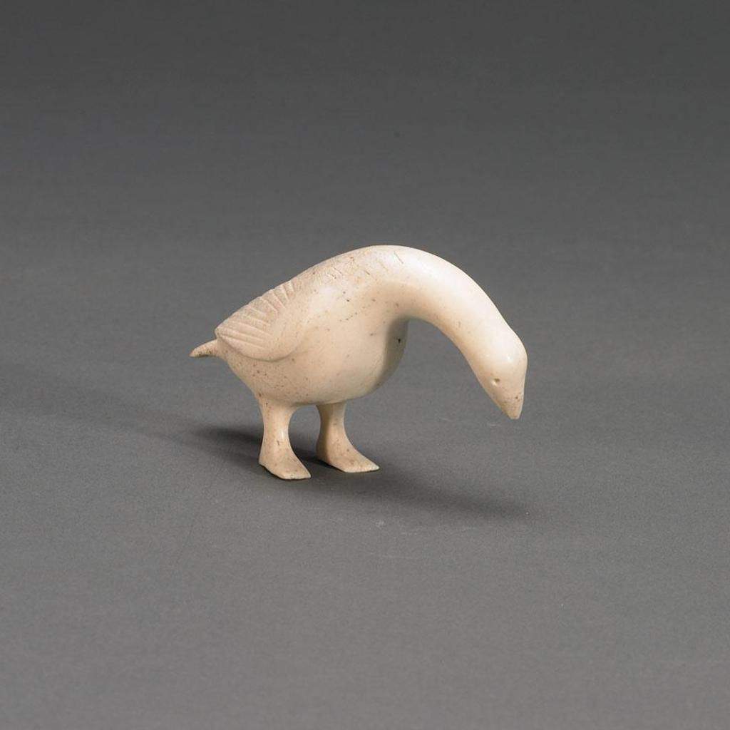 Ashoo - Goose