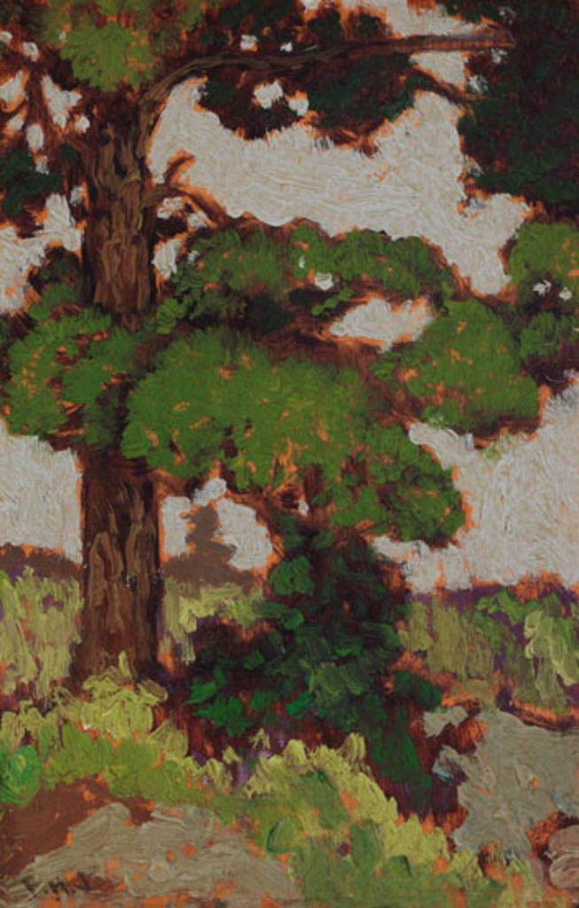 Frank (Franz) Hans Johnston (1888-1949) - Pine