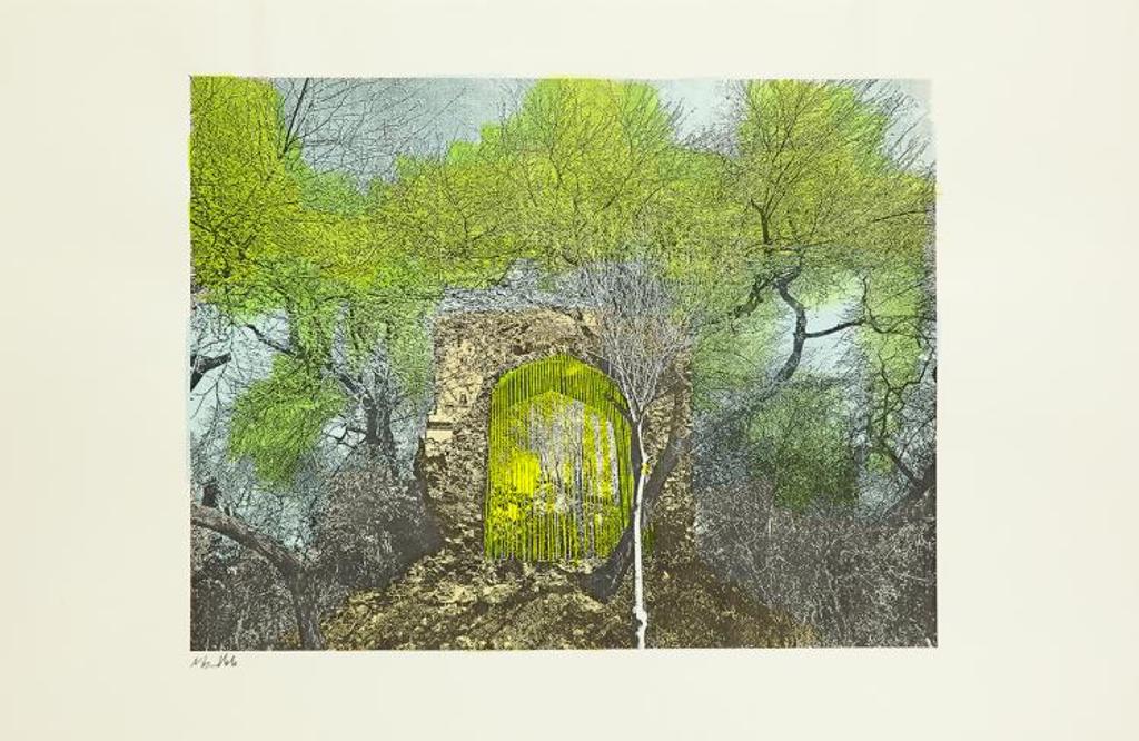 Nils Udo (1937) - Untitled