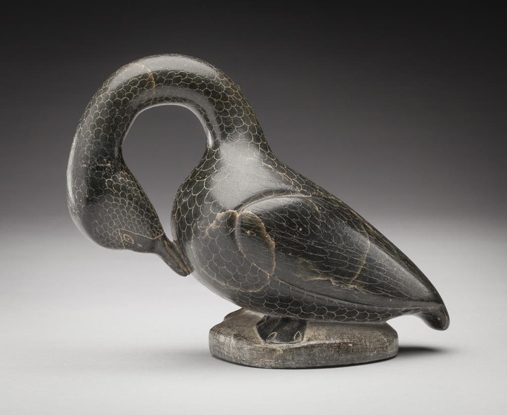 Ali Tuttu Amittu (1926-1983) - Puvirnituq, Preening Swan, early 1960s