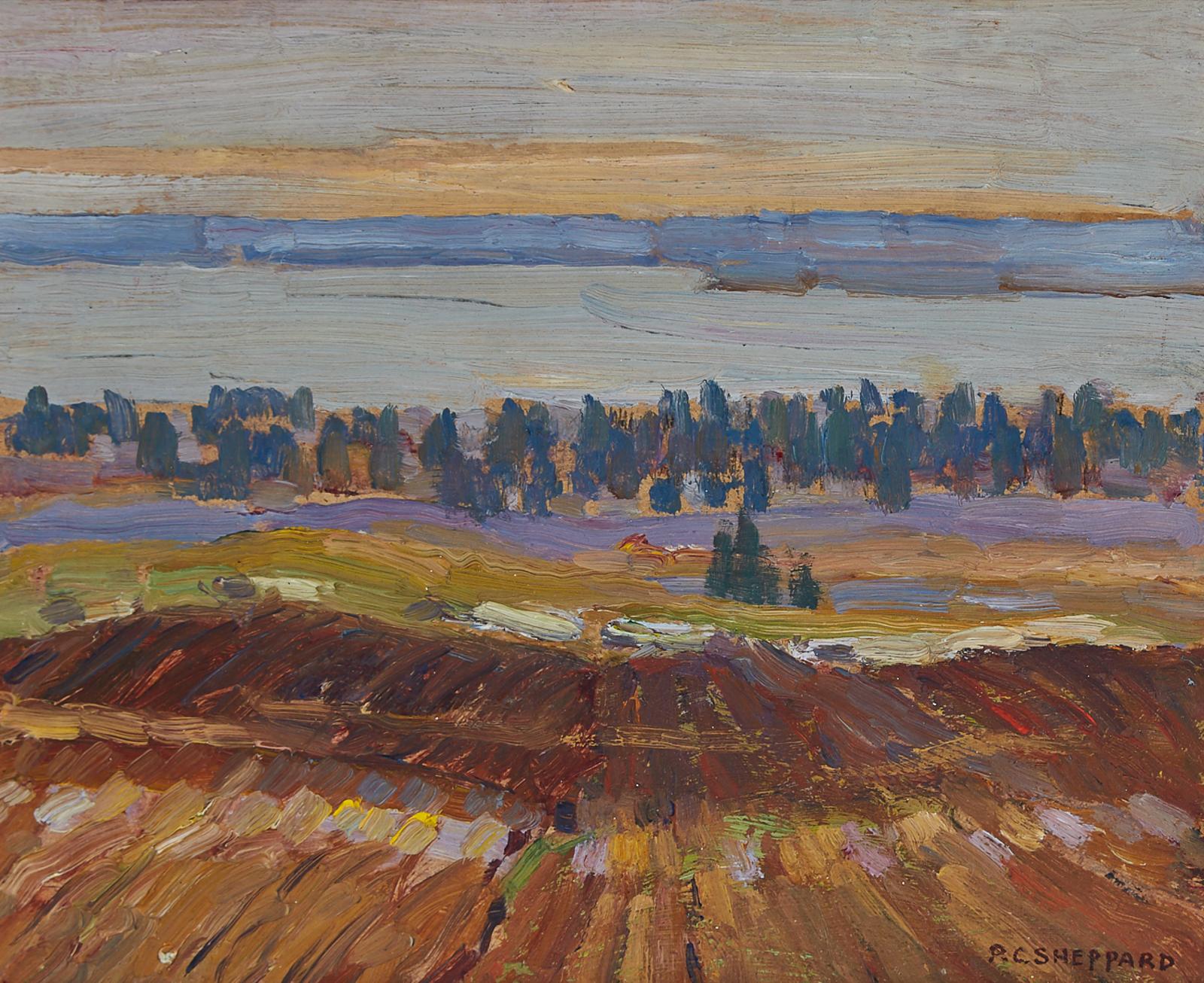 Peter Clapham (P.C.) Sheppard (1882-1965) - Field And Distant Lake