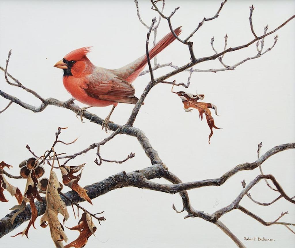 Robert Mclellan Bateman (1930-1922) - Cardinal and Oak, 1971