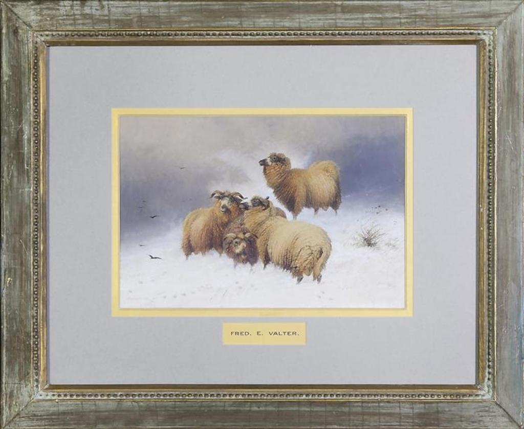 Fred E. Valter - Untitled - Sheep