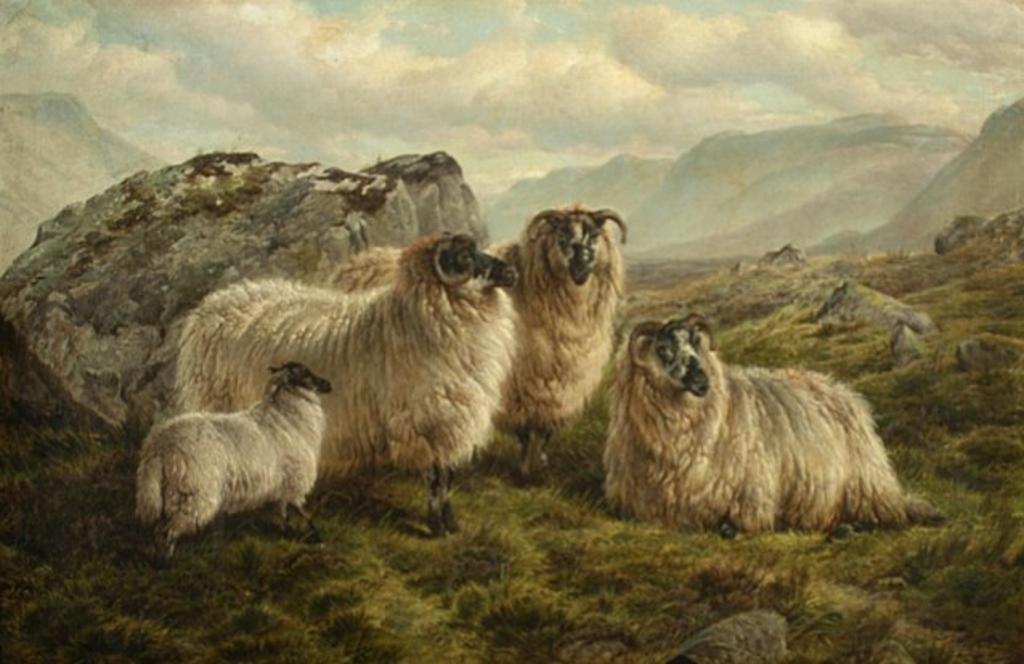 Charles Jones (1836-1892) - Untitled