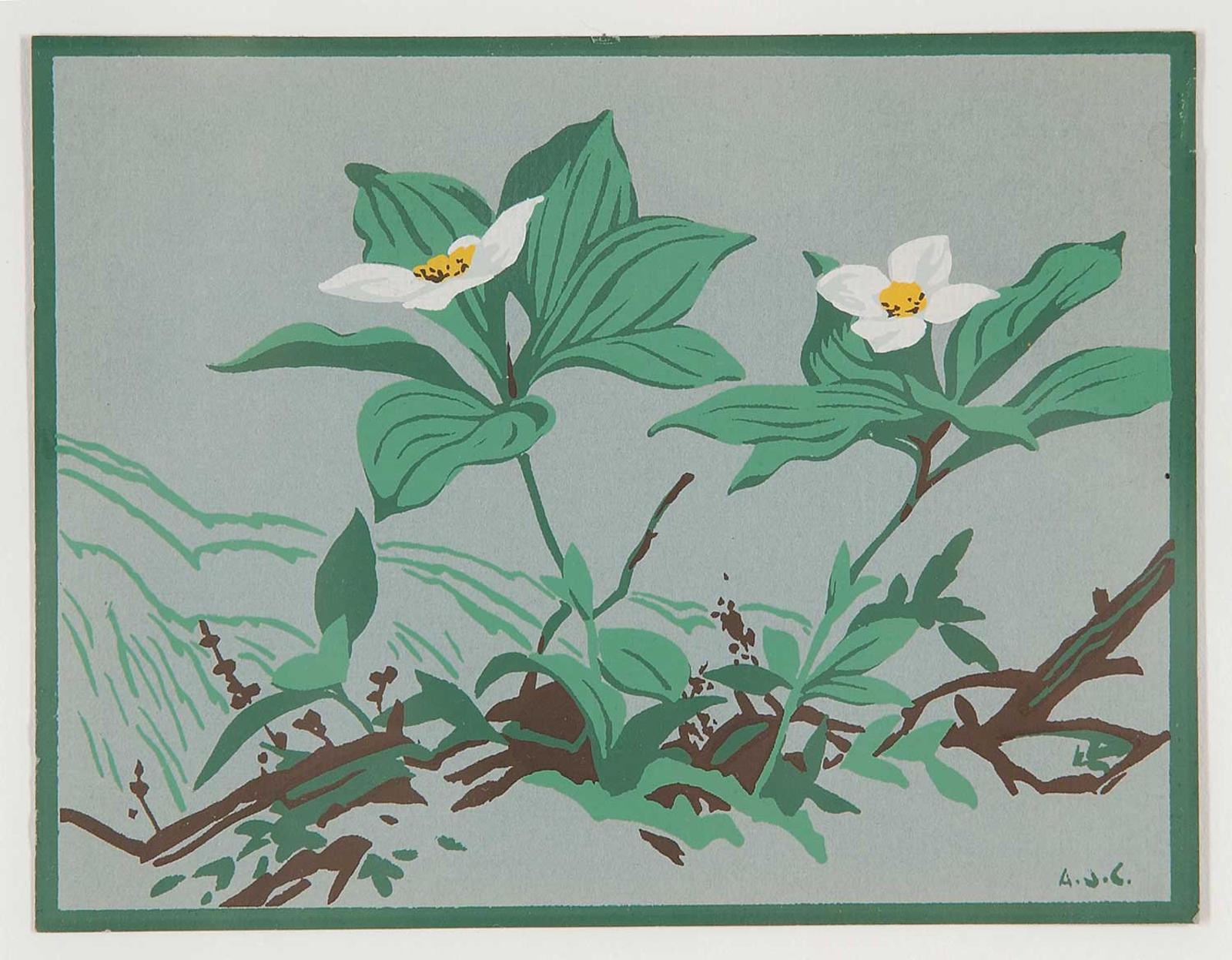 Alfred Joseph (A.J.) Casson (1898-1992) - Untitled - Dogwood