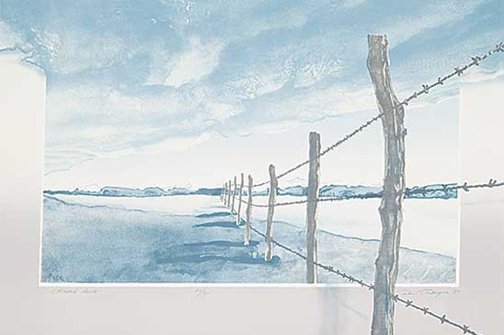 David Denyse (1952) - Chinook Arch #21/30