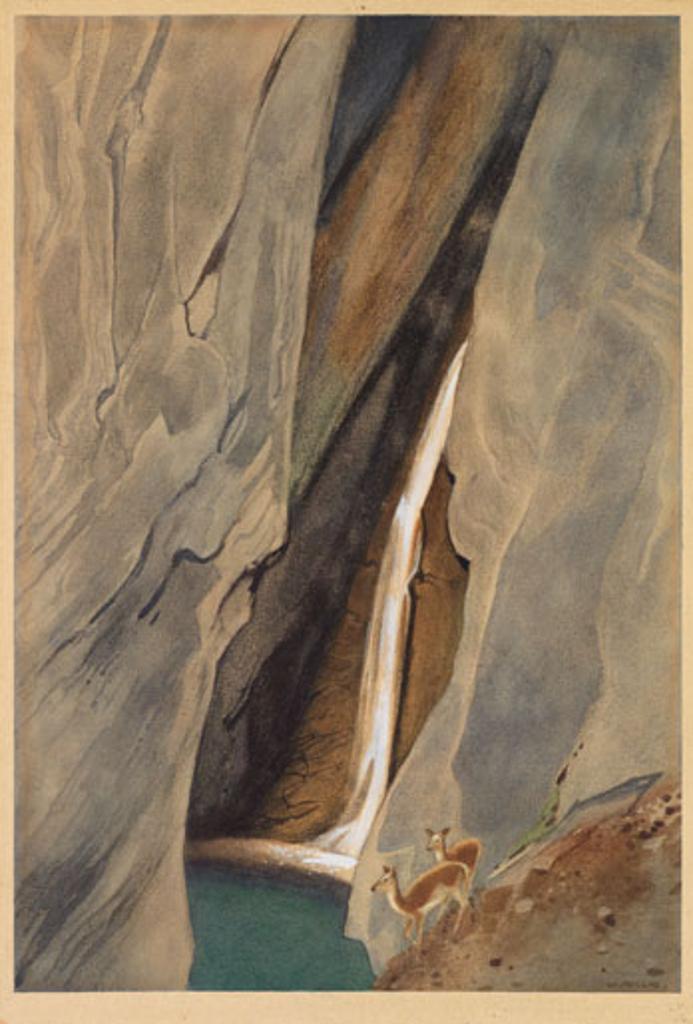 Walter Joseph (W.J.) Phillips (1884-1963) - Hamilton Falls