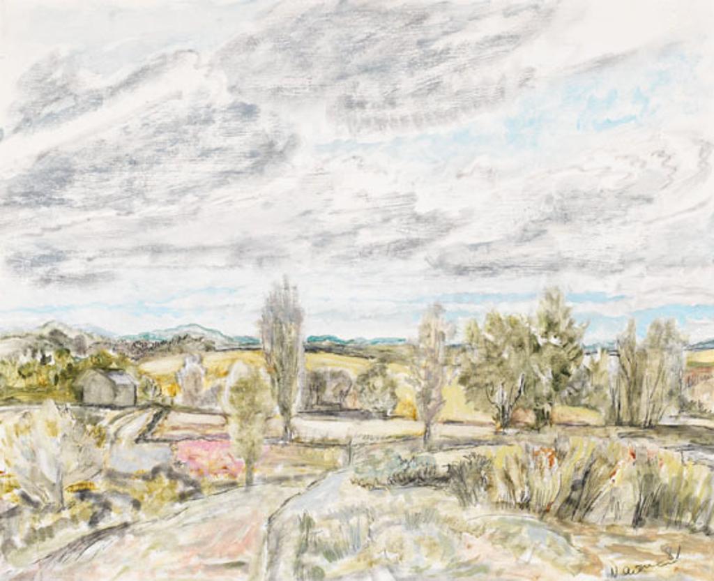 John Beatty Newman (1933) - The Pink Field