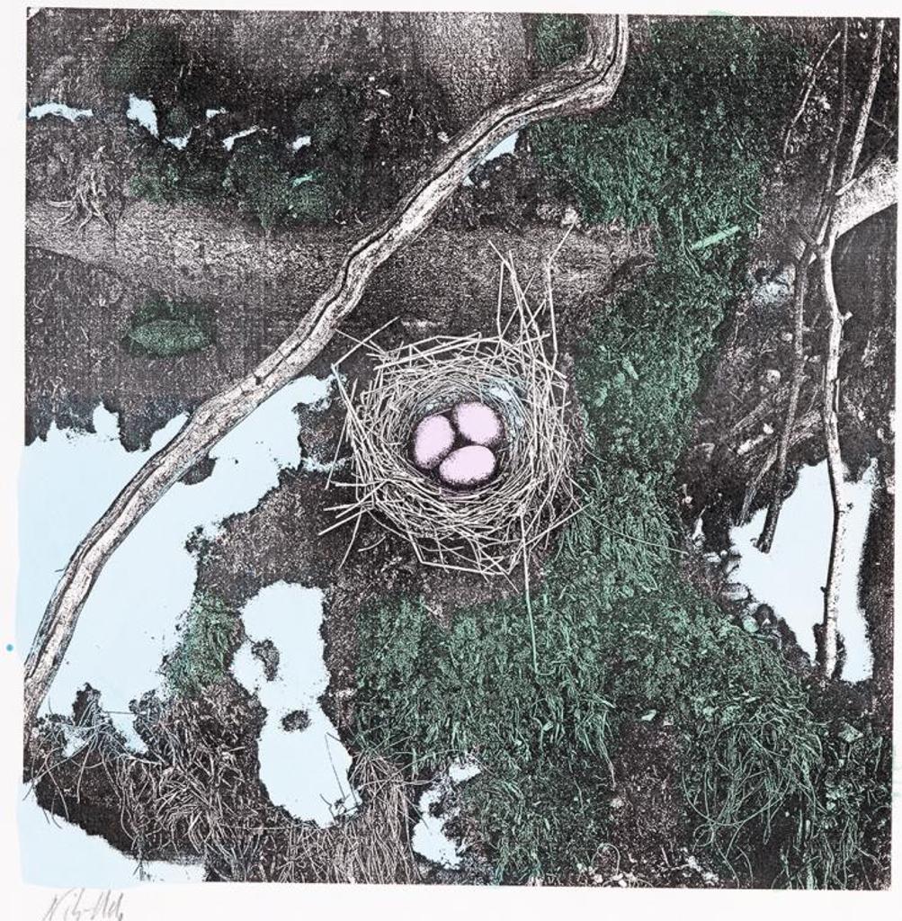 Nils Udo (1937) - Untitled - Nest