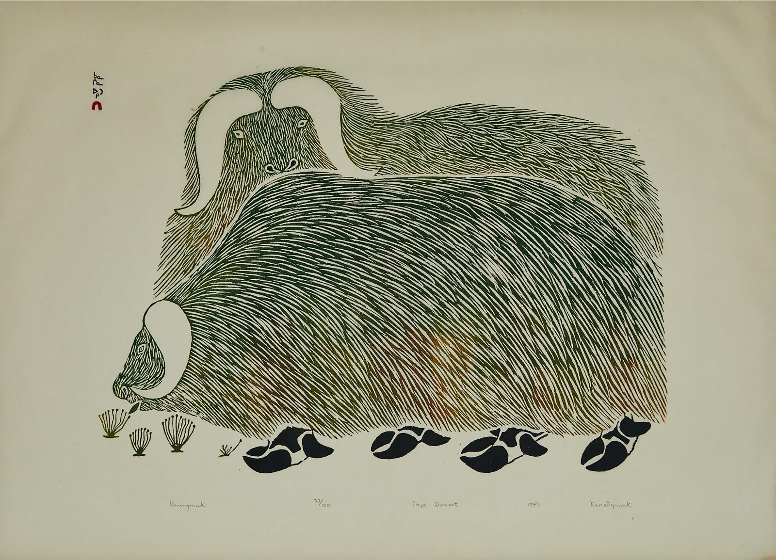 Kananginak Pootoogook (1935-2010) - Umingmuk
