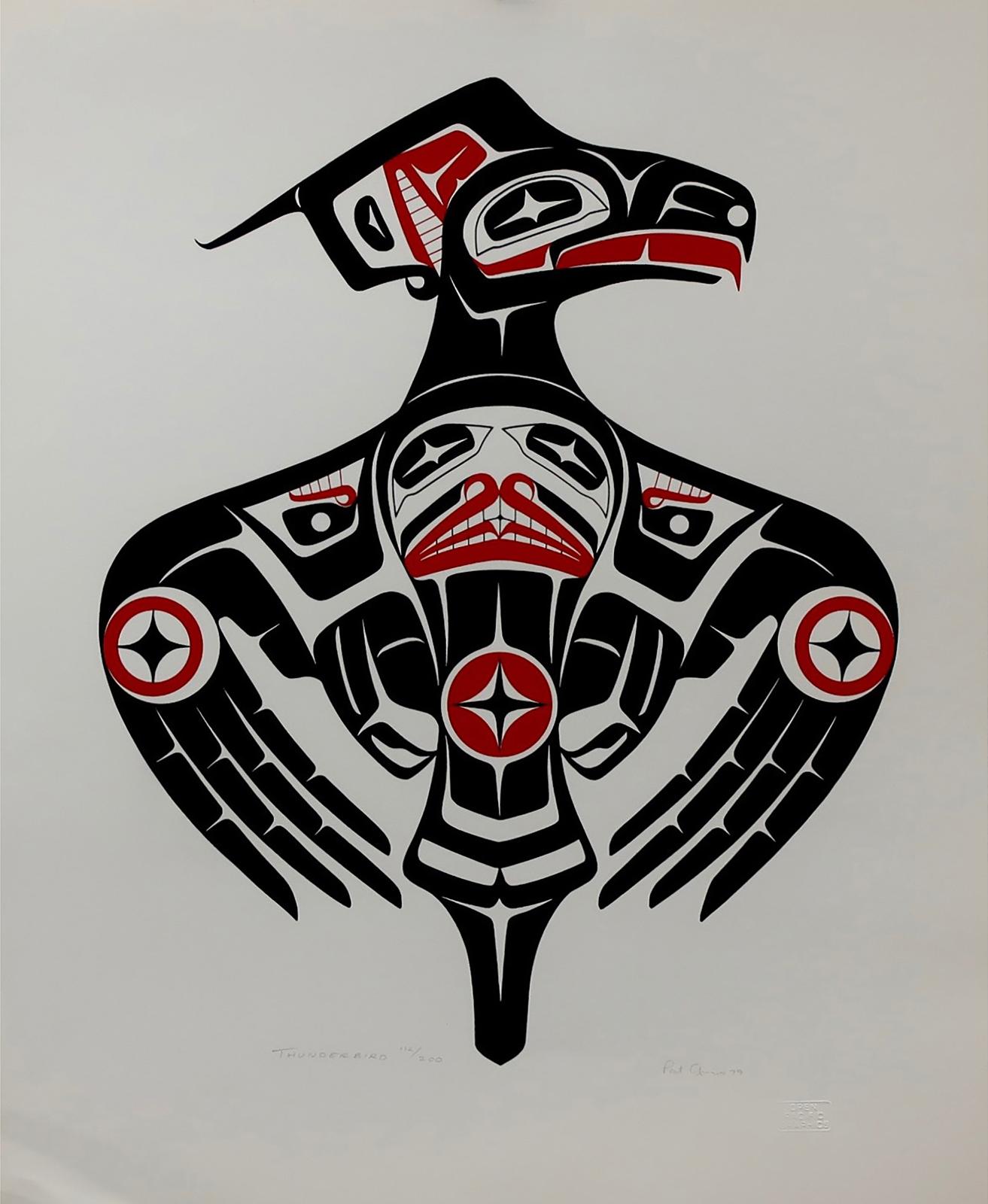 Patrick Amiot (1960) - Thunderbird