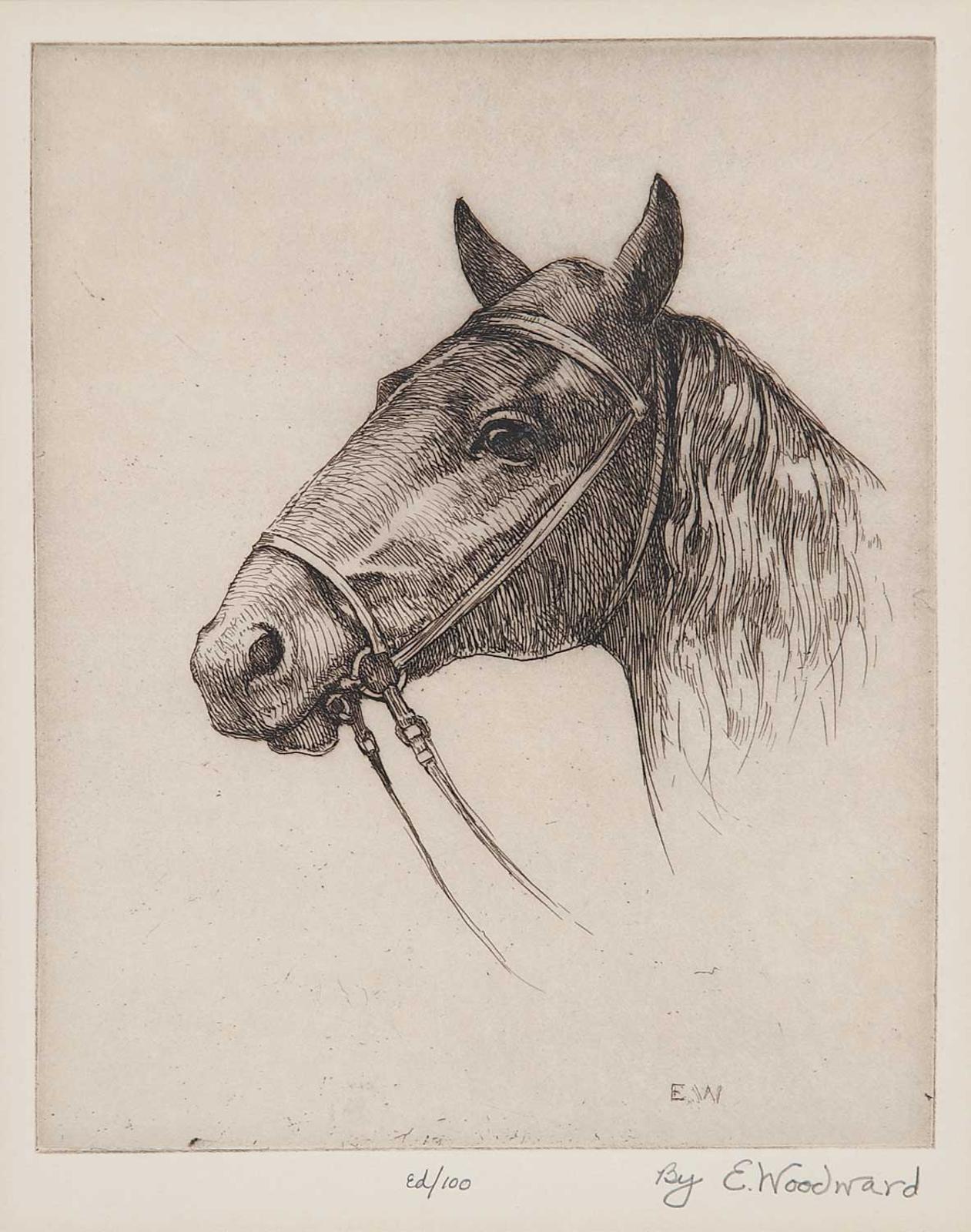 E. Woodward - Untitled - Portrait of a Horse #Ed/100