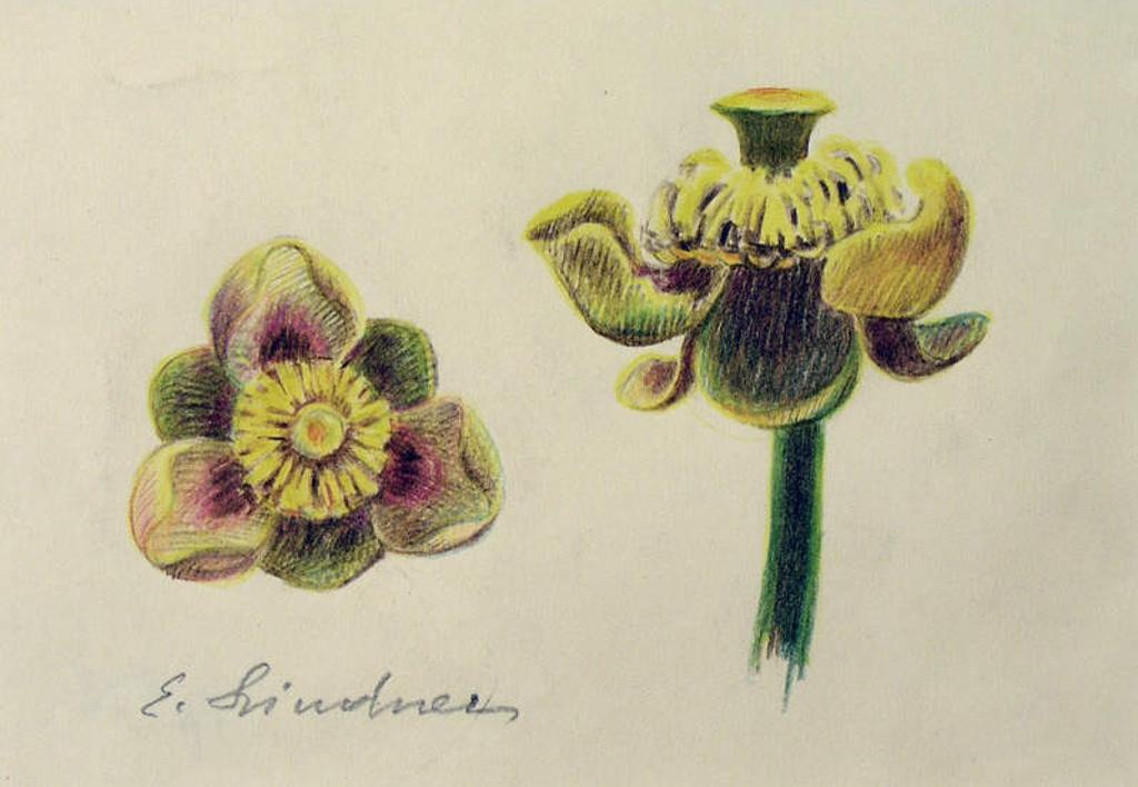 Ernest Friedrich Lindner (1897-1988) - Untitled