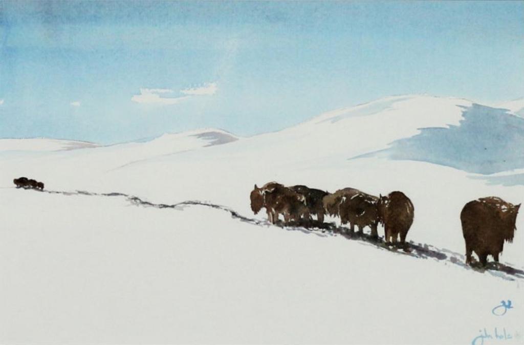 John Hales - 12 x 18 in