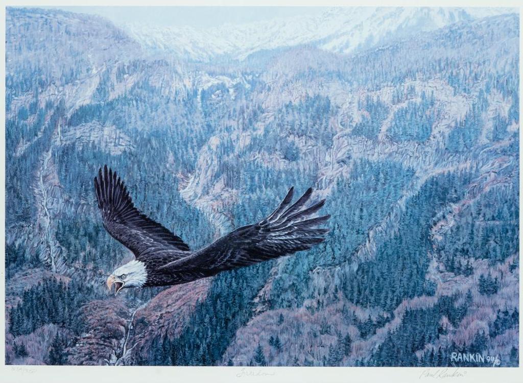 Paul Rankin (1967) - Freedom