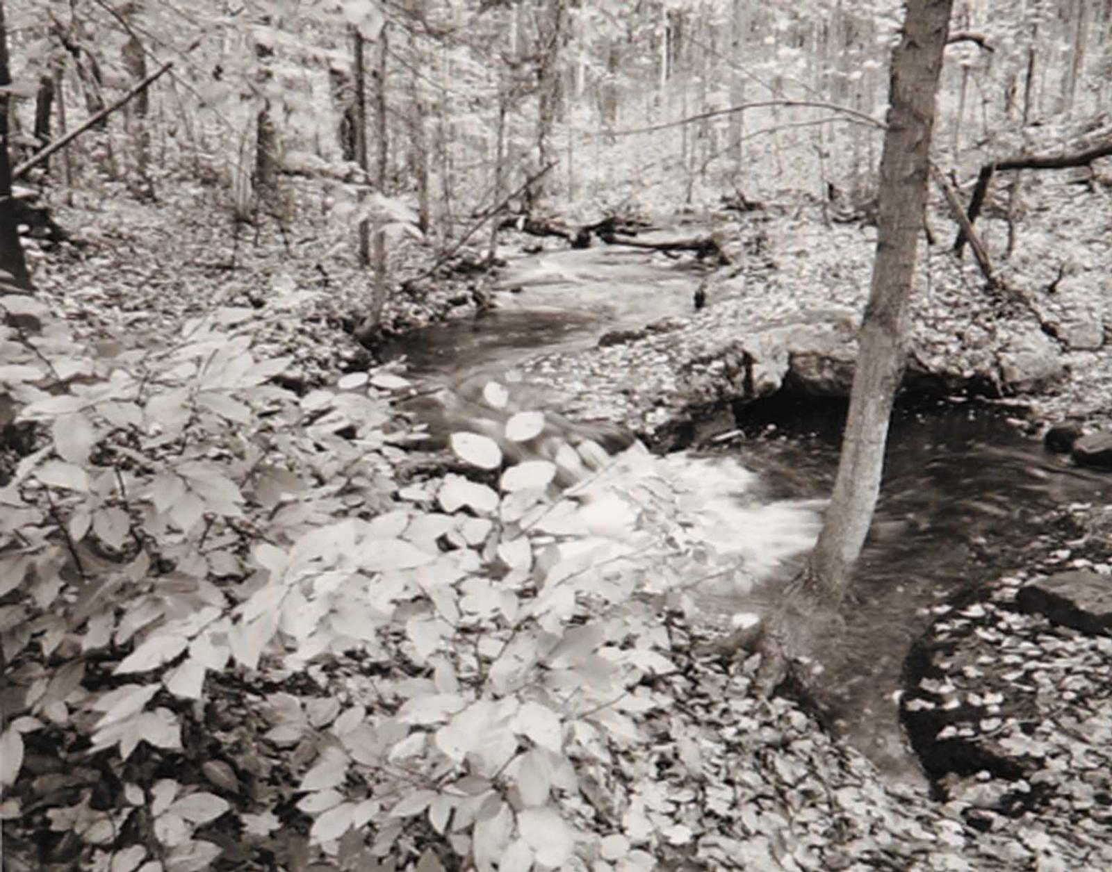Lawrence Christmas - Fortune Creek, Gatineau Park, Quebec