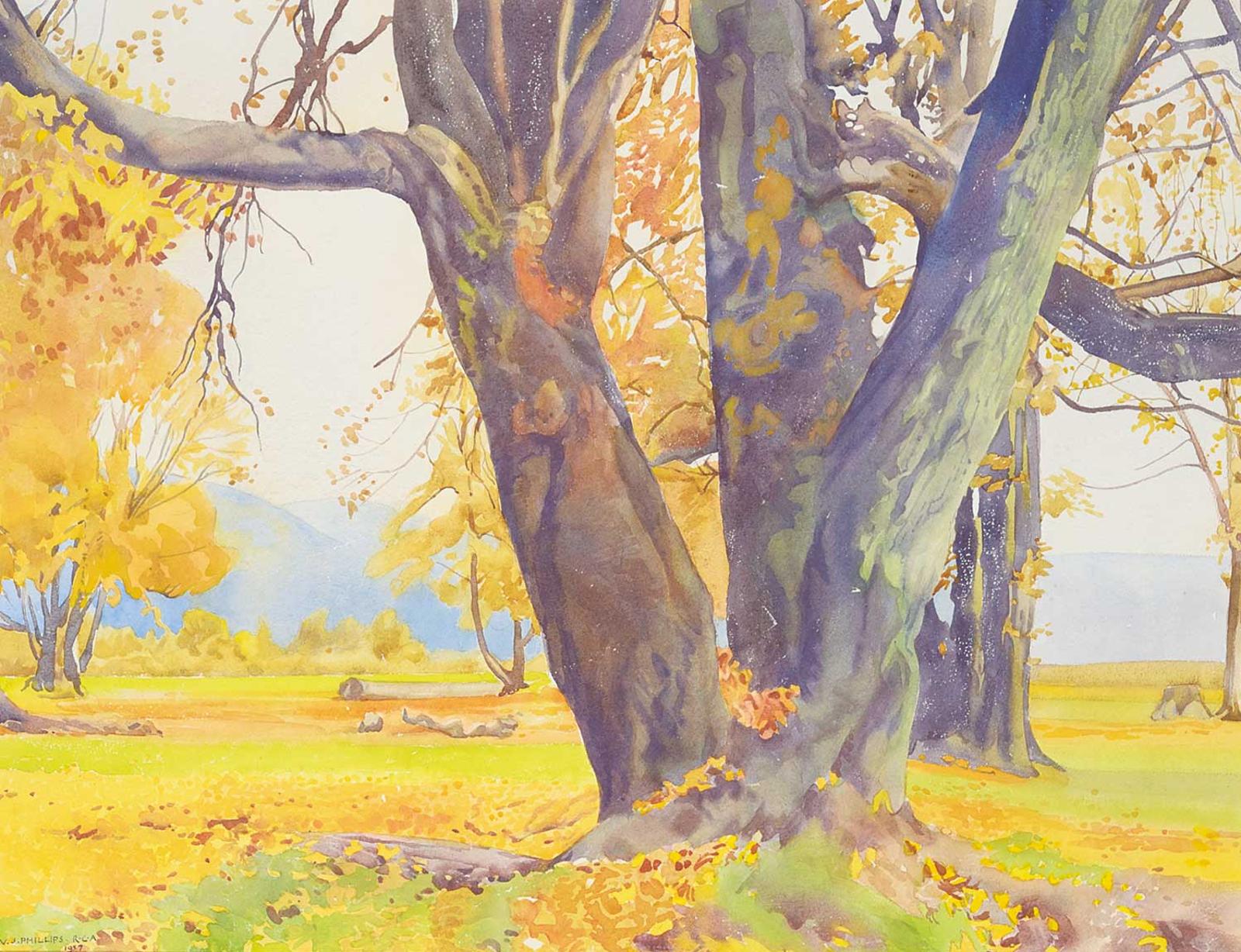 Walter Joseph (W.J.) Phillips (1884-1963) - Maples at Cowichan