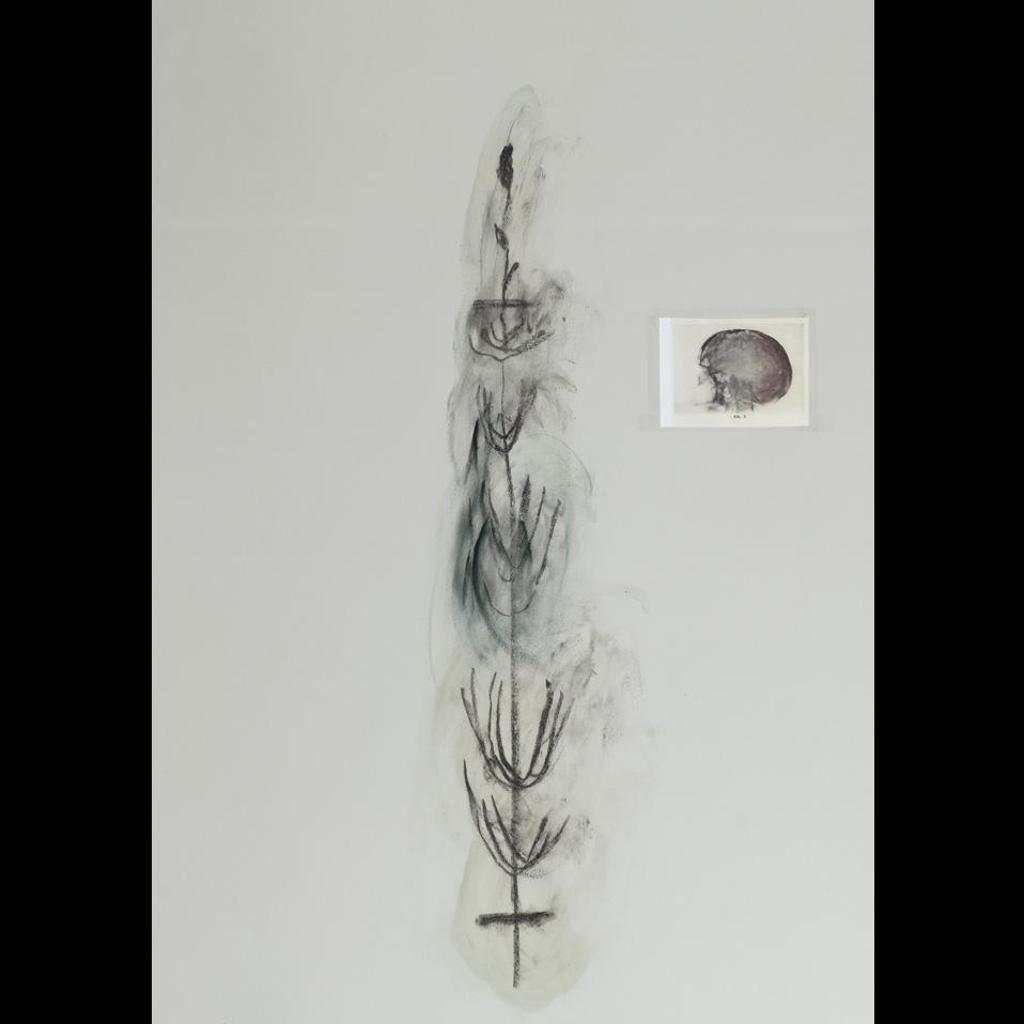 Shelagh Evelyn Keeley (1954) - Materia Medica #25