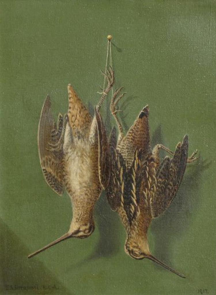 Edward Scrope Shrapnel (1847-1920) - Still Life, Snipes