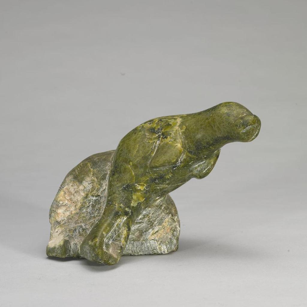 Nuvalinga Mikigak Kingwatsiak (1946) - Seal Basking On A Rock