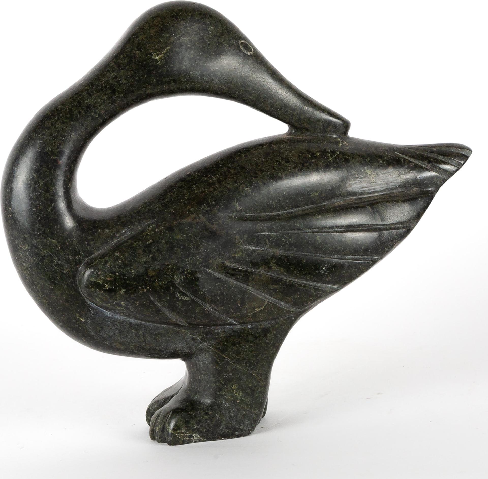 Rebecca Qiyuakyuk - Preening Bird
