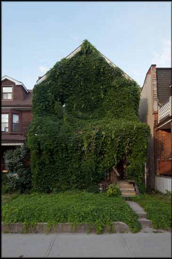 Max Meyer (1980) - Untitled (Overgrown series)