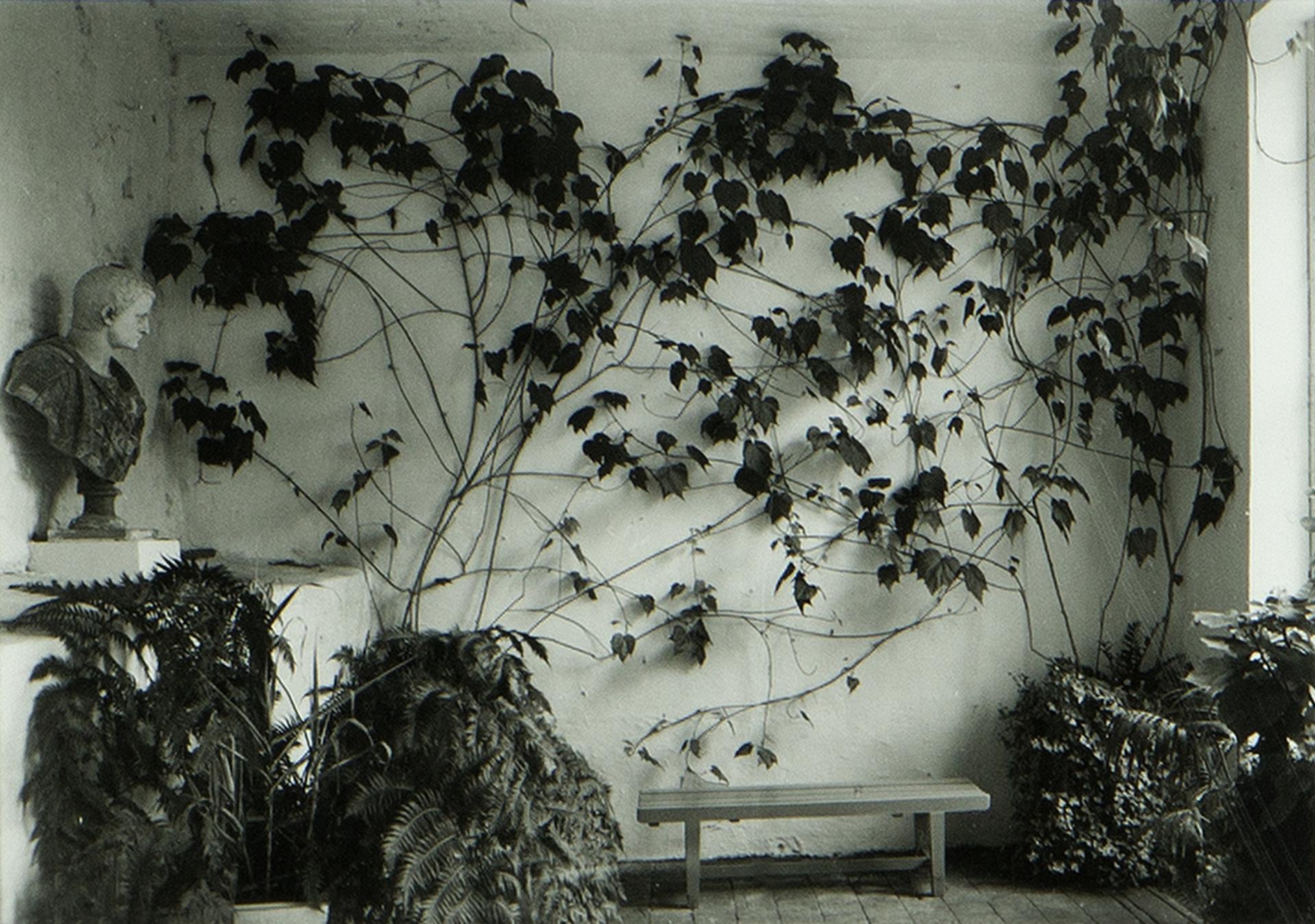 Geoffrey James (1942) - Paris Castle – The Orangerie, 1986