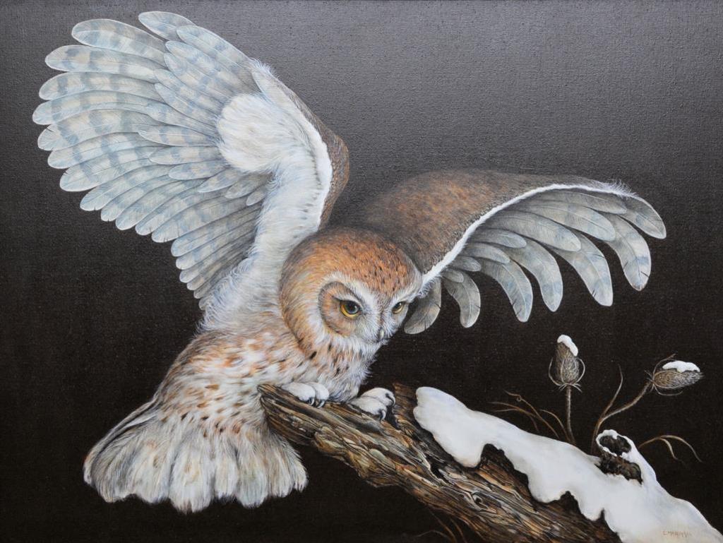 Christine Marshall (1946) - Owl at Night
