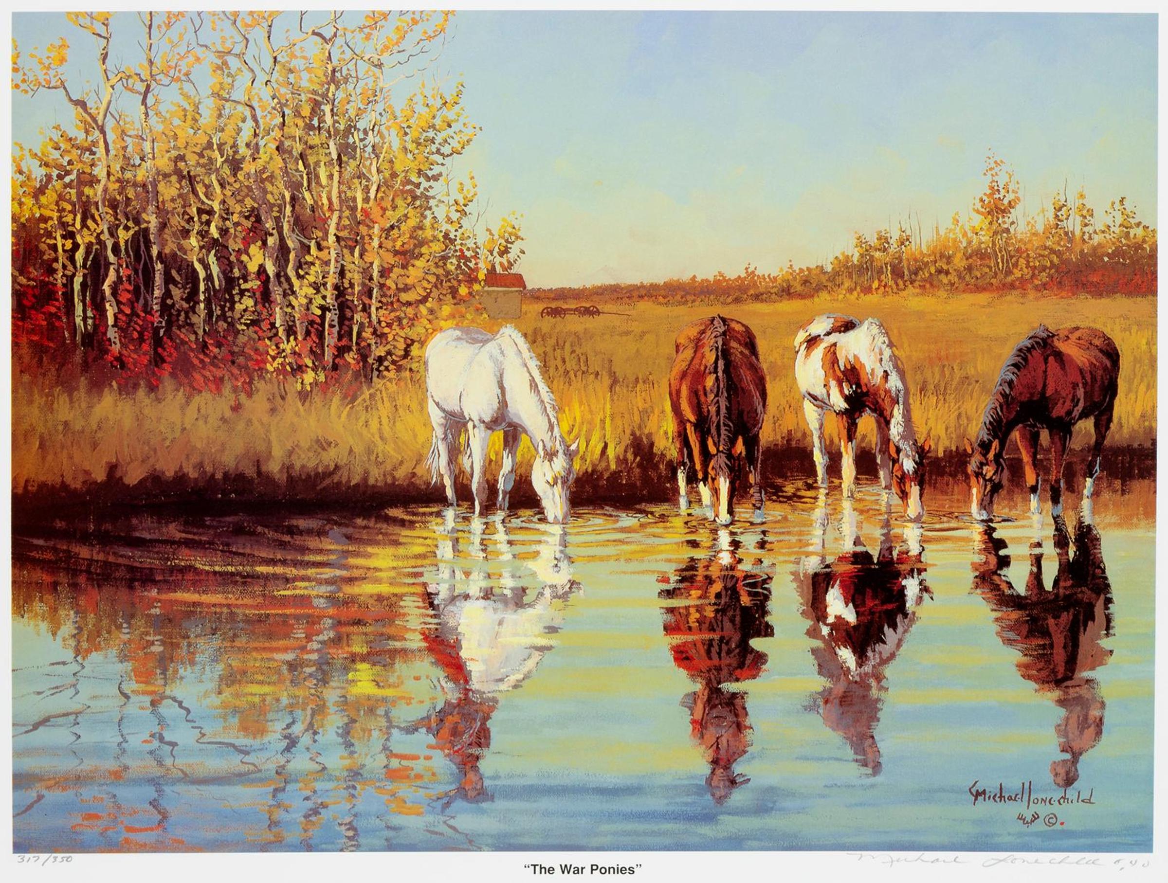 Michael Lonechild (1955) - The War Ponies