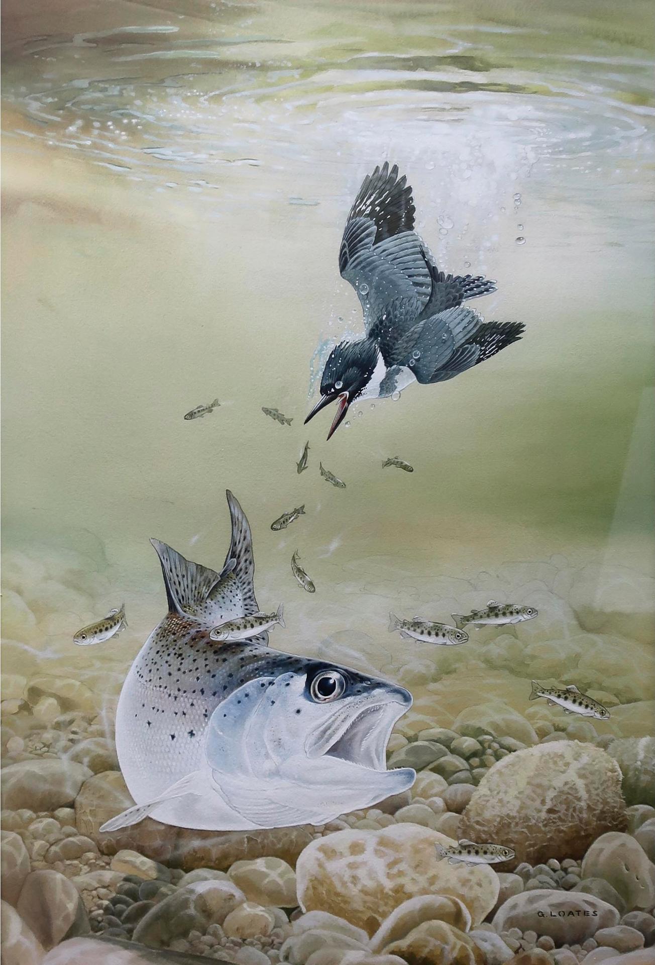 Glen Loates (1945) - Untitled (Bird Diving For Fish)