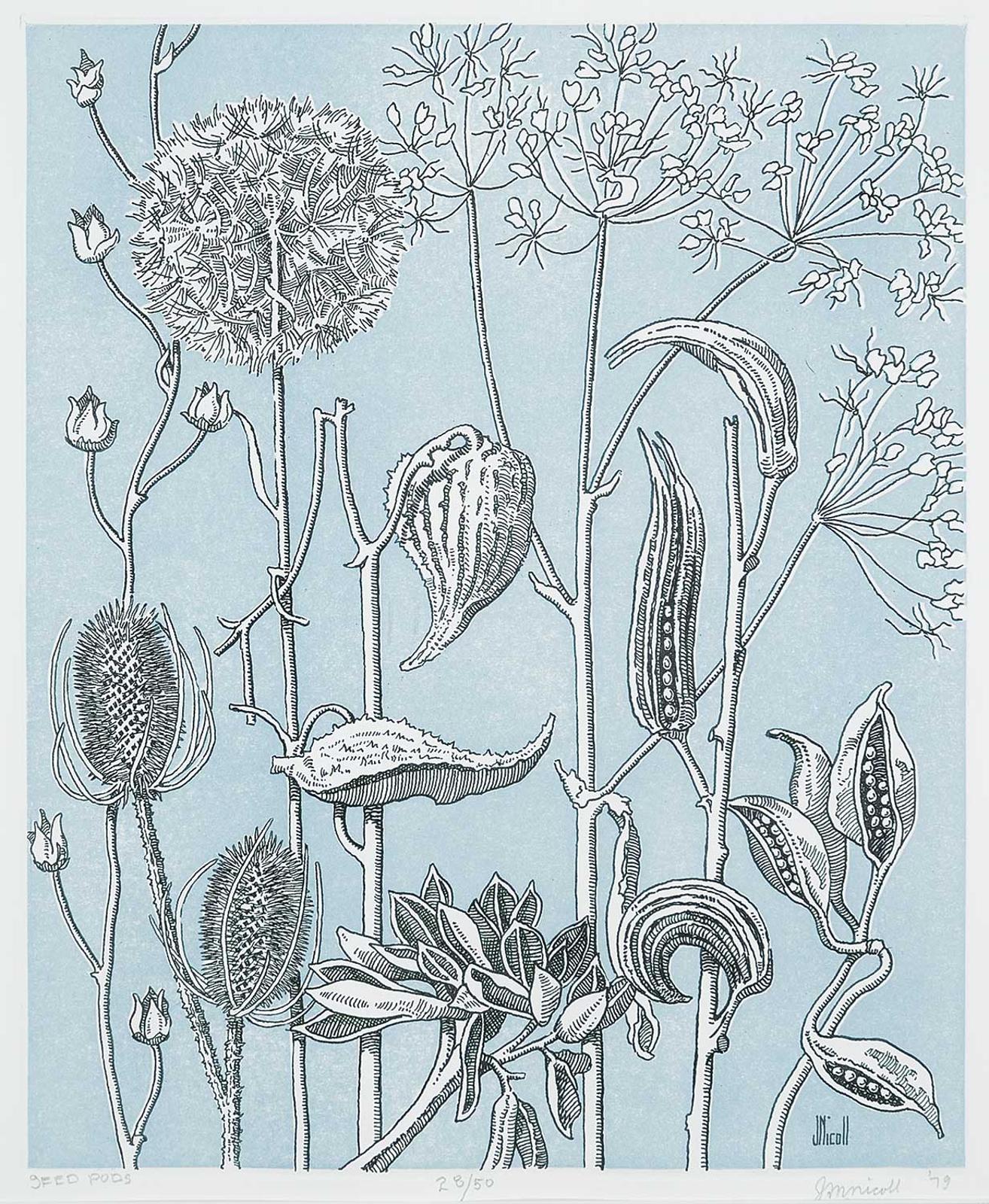 James (Jim) McLaren Nicoll (1892-1986) - Seed Pods #28/50