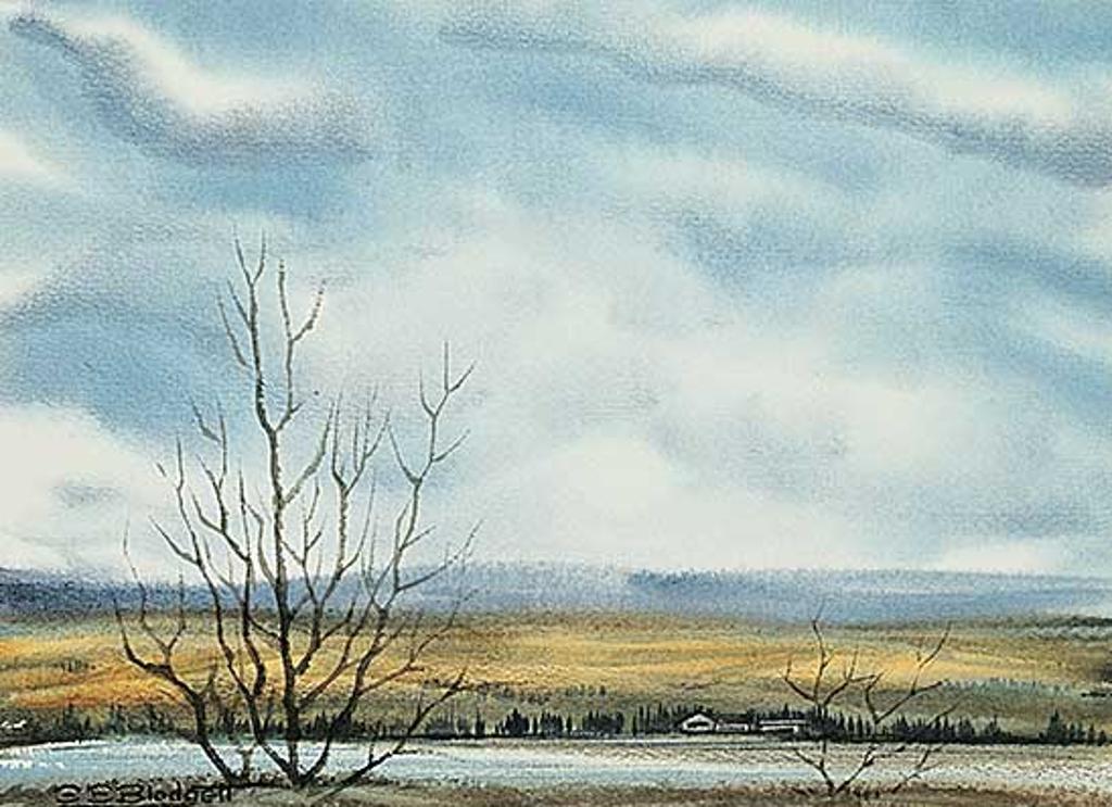 Stanford Earl Blodgett (1909-2006) - Bow River and Willows