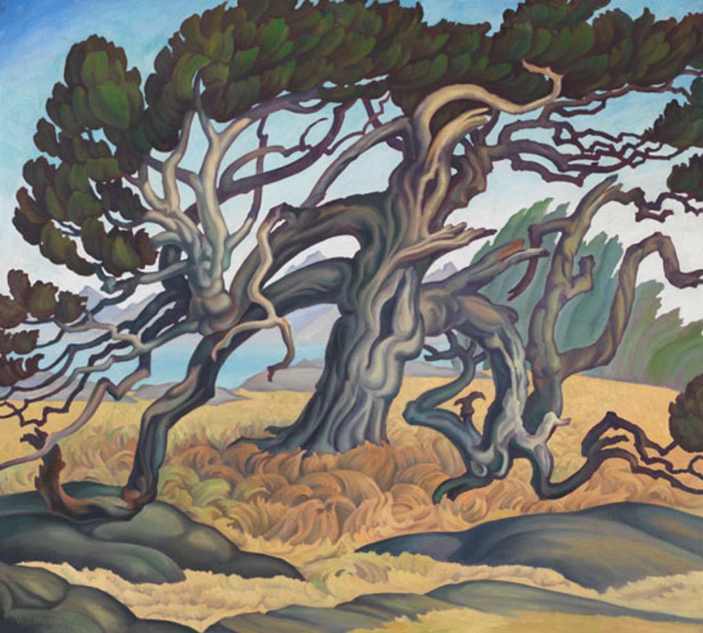 William Percival (W.P.) Weston (1879-1967) - Old Pine, Vancouver Island
