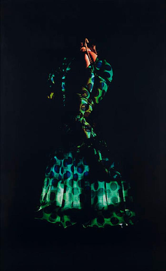 Christine Davis (1962) - Anagram V