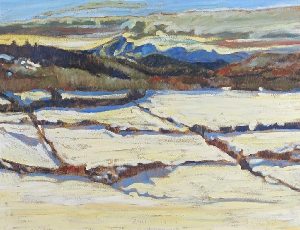 Robert F.M. McInnis (1942) - Turner Valley; 1979